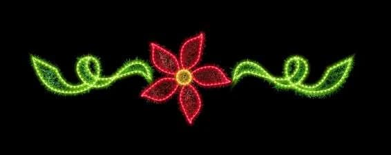 Flor de nochebuena con hojas verdes